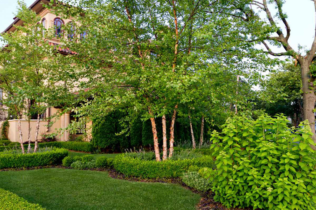 New York City Landscaping