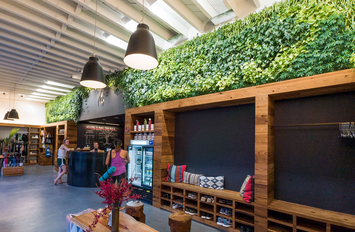 Living Wall at a Yoga Studio in Williamsburg, Brooklyn.