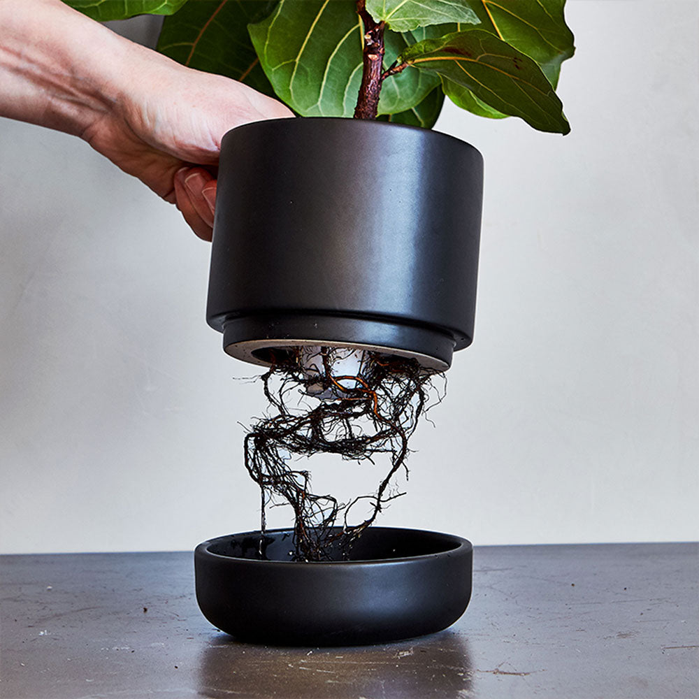 How does a self watering planter work?