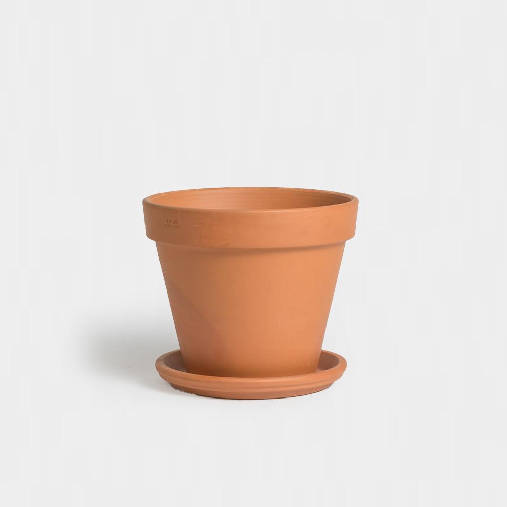 Greenery | 16" Terracotta Pot & Saucer | & Pots