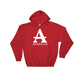 antistate icon hoodie