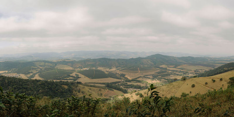 Panorama shot of Carmo Estate