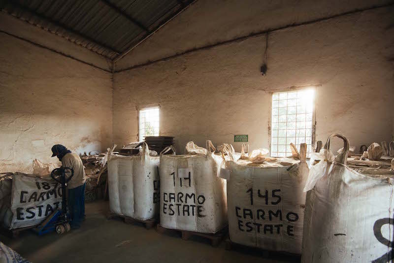 Carmo Estate bagging station