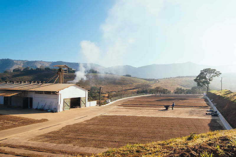 View of the coffee drying at Carmo Estate from a nearby hill 