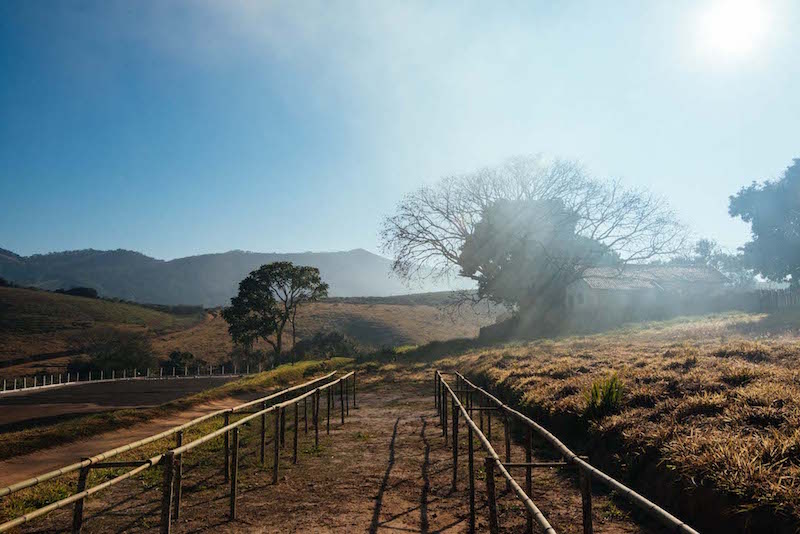 Pathway at Carmo Estate