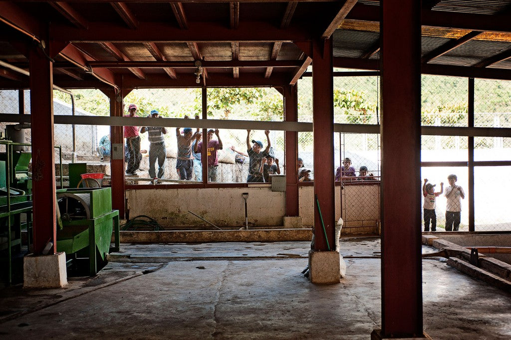 Stare-down from the kids at Finca La Providencia