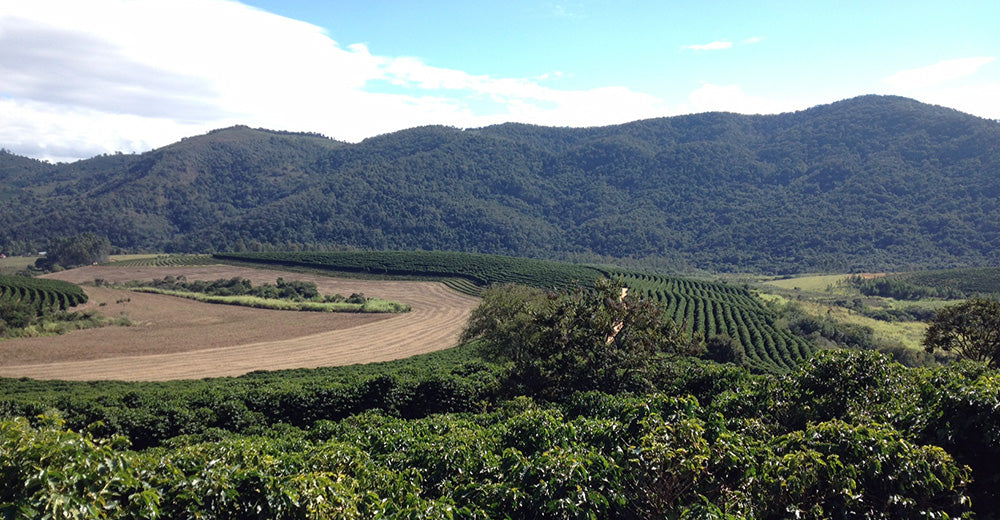 View of Carmo Estate terrain in Minas Gerais