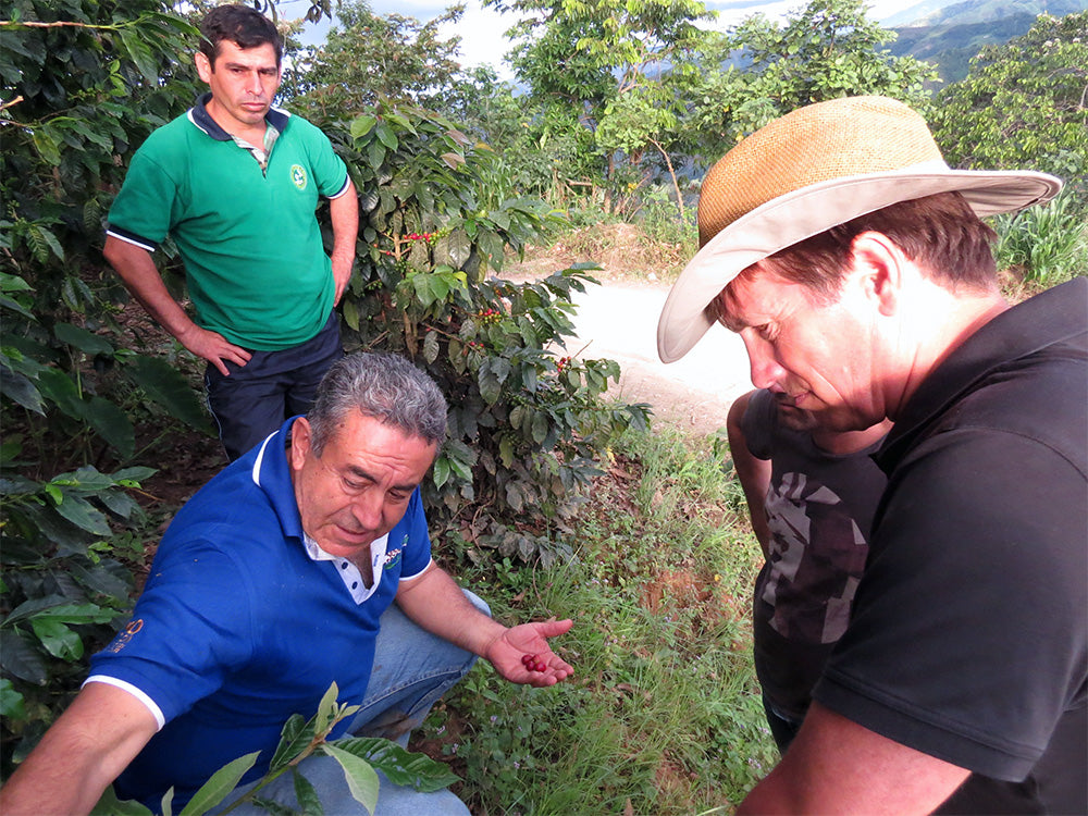 Group inspecting the coffee plants