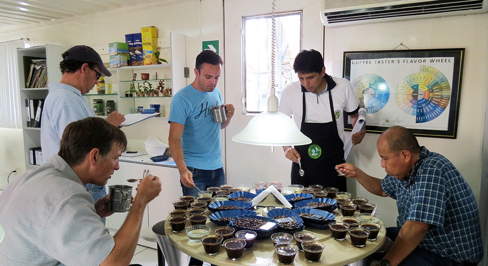 Group cupping coffee in the office