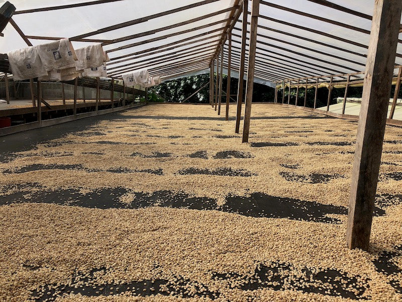 Drying Patio Finca Leona