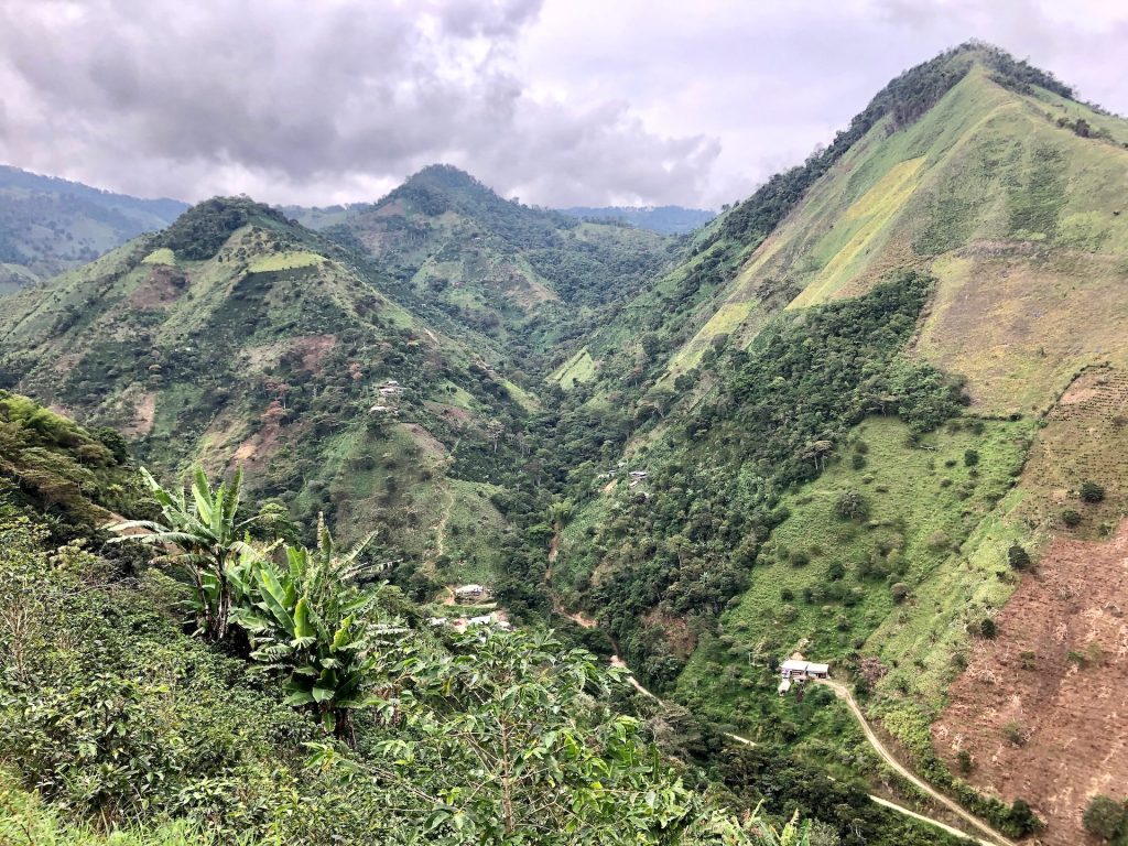 Coffee Co-op At The Very Top Of A Hill