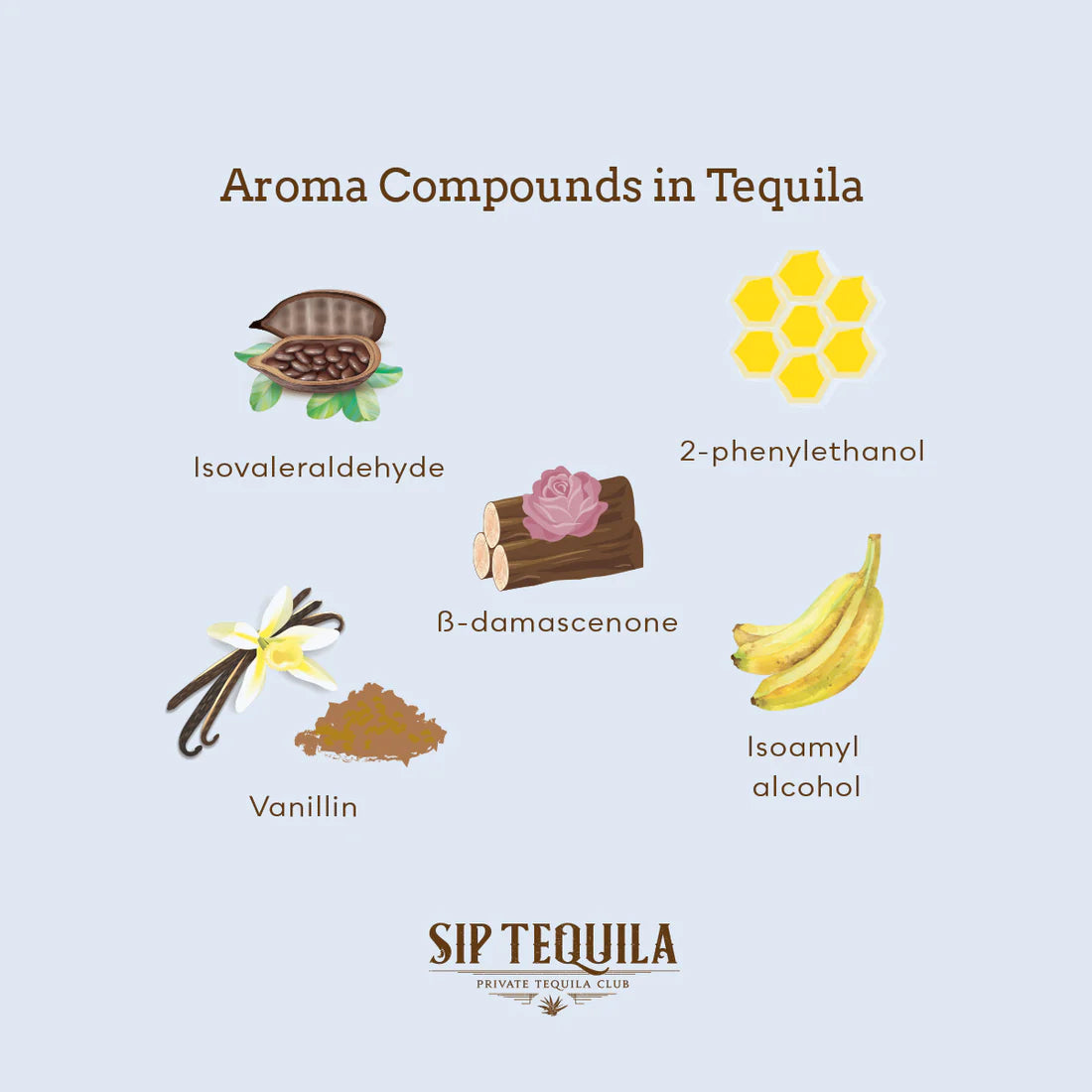 Aroma_Compounds_in_Tequila_1100x_jpg