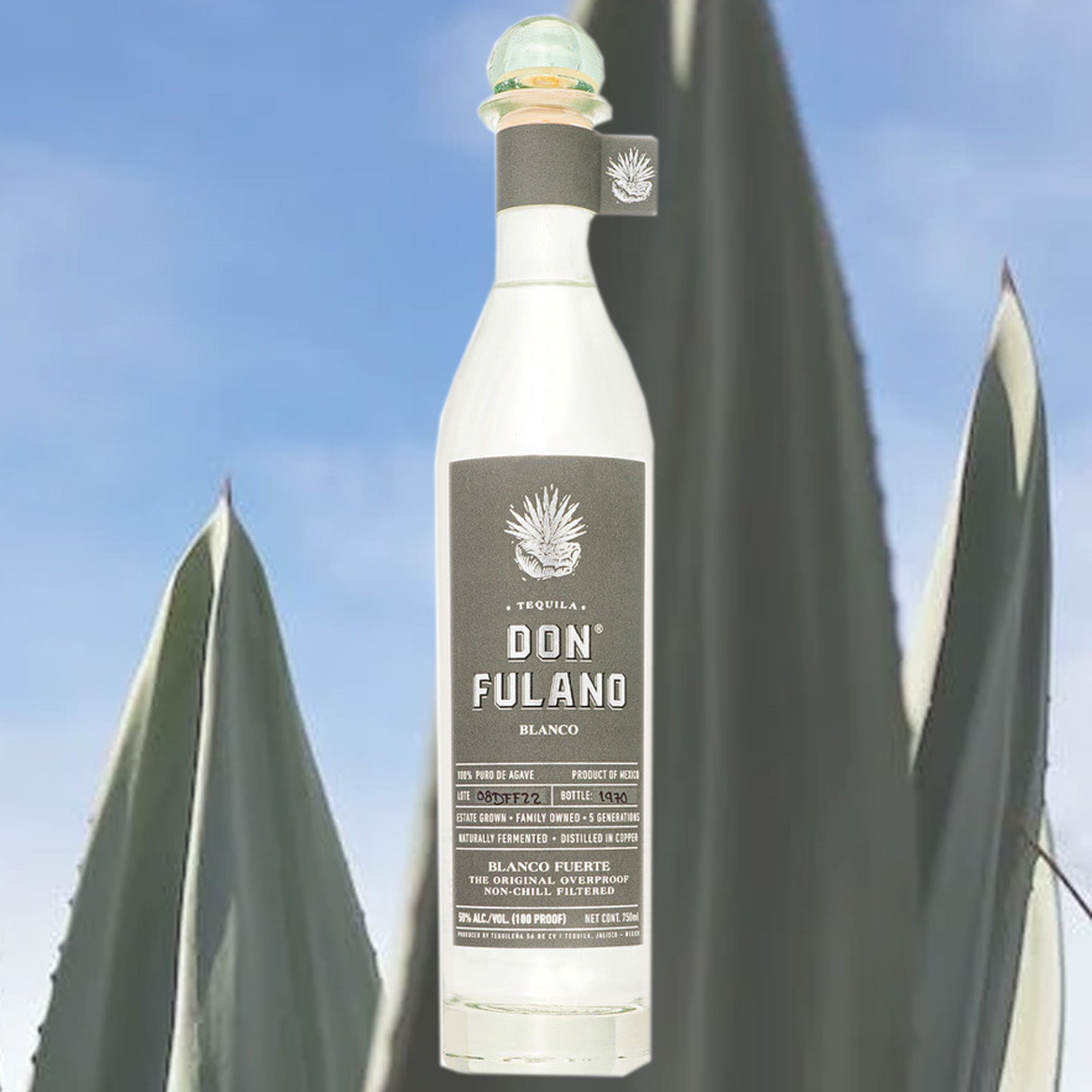 Volcán de mi Tierra - Blanco - Superpremium Tequila - Exclusive Luxury  Limited Edition - 700 ml - Avvenice