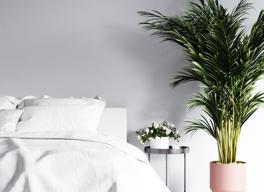 pure parima how to achieve a minimalist bedroom design