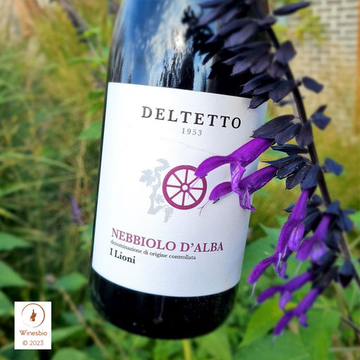 Camparo Dolcetto di Diano d\'Alba 2020 red wine Sorì Bric winesbio — Winesbio