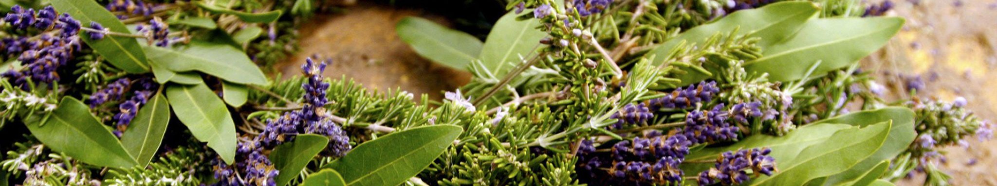 Fresh Rosemary and Olive Garland 6