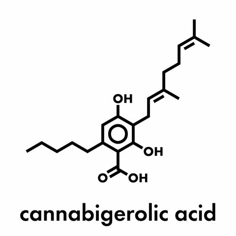 cbg molecule