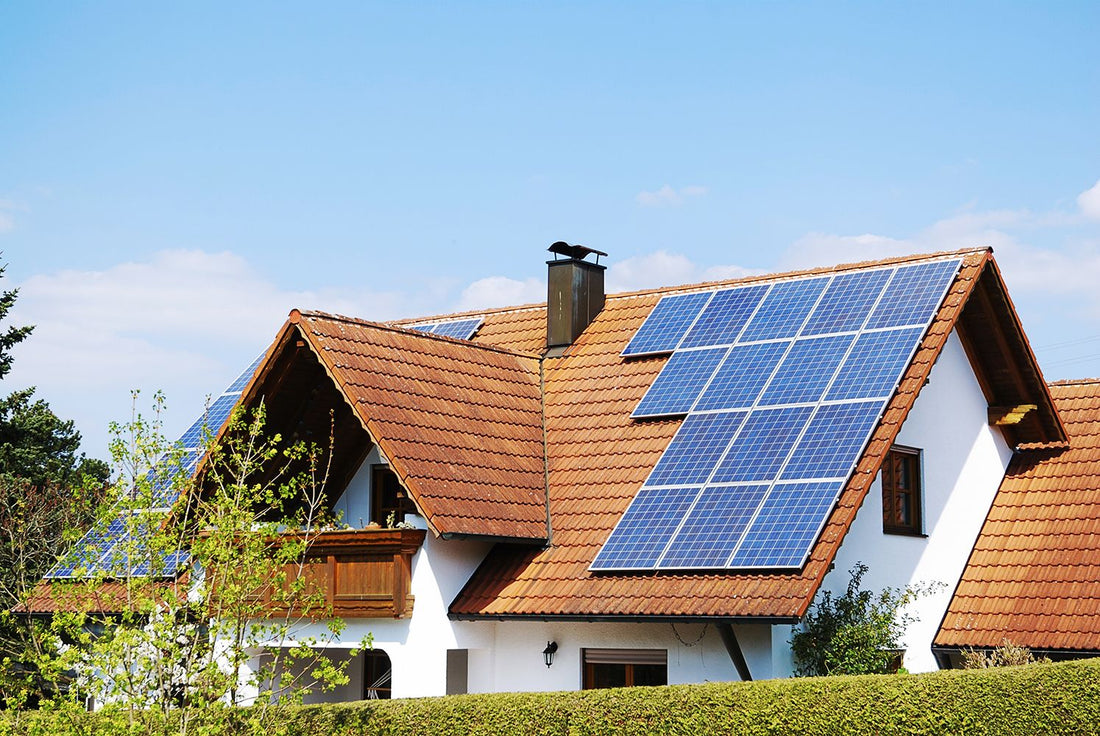 Desviar líder Aprendiz Cómo funcionan los paneles solares en una casa? - La Bodega Solar