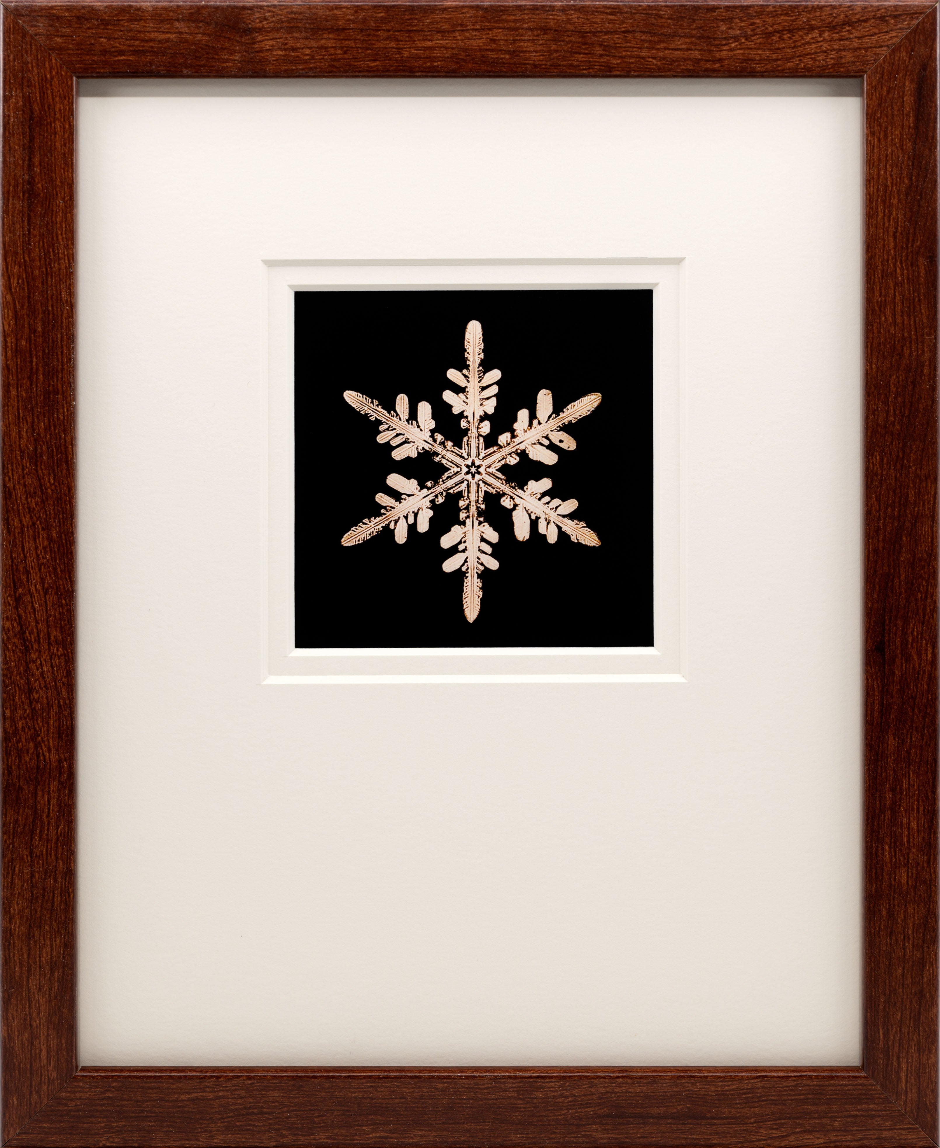 2021 Snowflake Bentley Ornament – Vermont Snowflakes