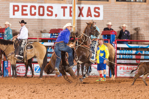Tie Down Roping Pecos Rodeo