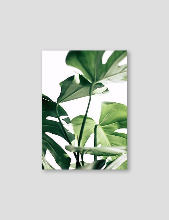 Tote bag negra (trío monstera) - Comprar en Wudpi Deco