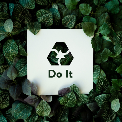 sustainability - do it image - green leaves - all the good things from bc