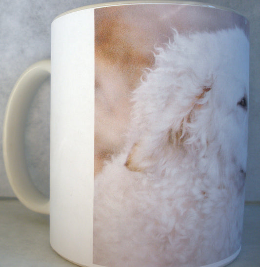 Samoyed Dishwasher Safe Microwavable Ceramic Coffee Mug 15 oz., 1