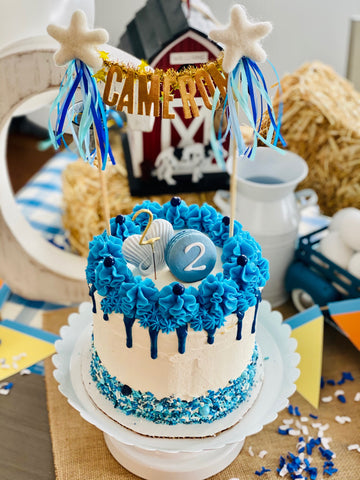 Bluey birthday  2nd birthday party themes, Baby birthday party theme,  Girls birthday party themes