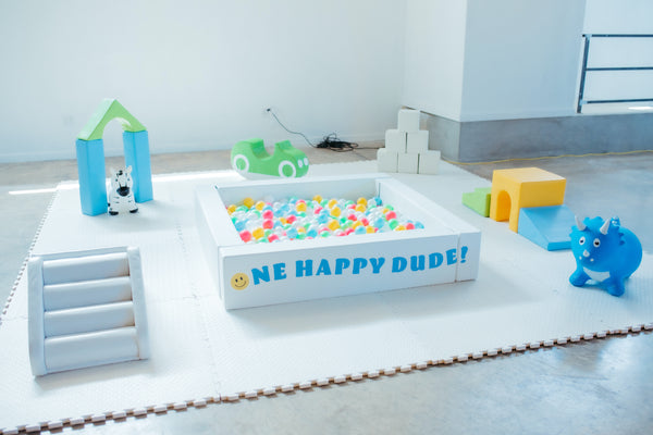 one-happy-dude-first-birthday-party-theme-idea-inspo-decorations-supplies-ellie-and-piper-boutique