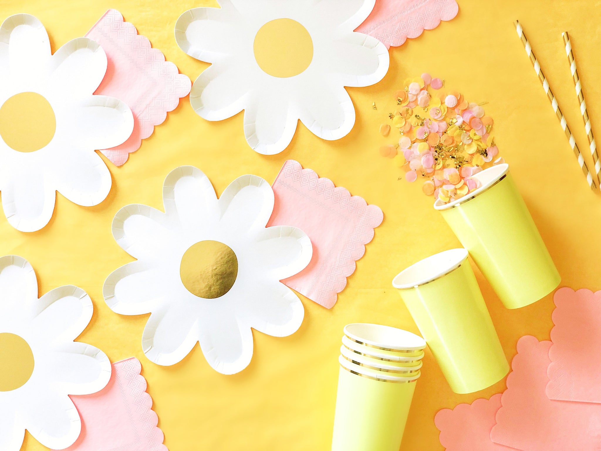 daisy paper plates