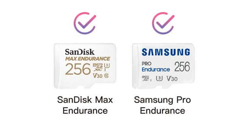 such as SanDisk Max Endurance, and Samsung Pro Endurance memory cards