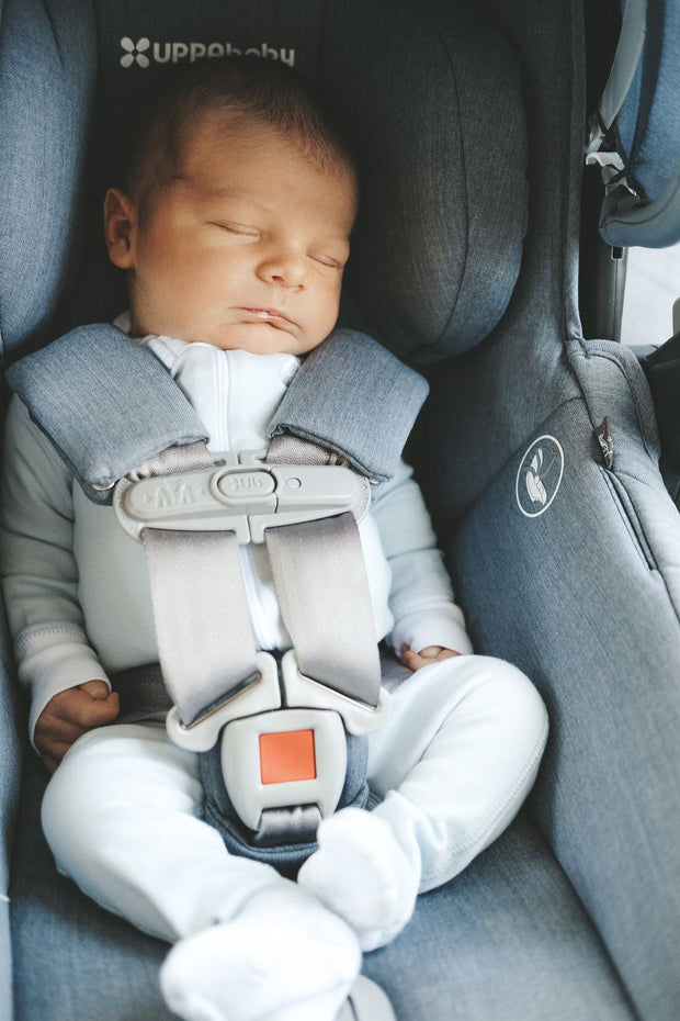 uppababy mesa for newborn