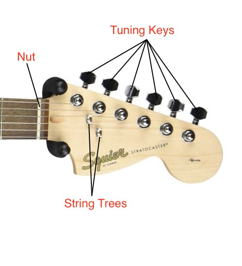 Parts of the Guitar Headstock
