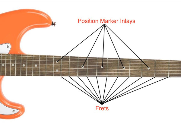 Parts of the Guitar Neck