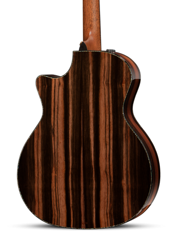 This Taylor has a beautiful Macassar Ebony back!