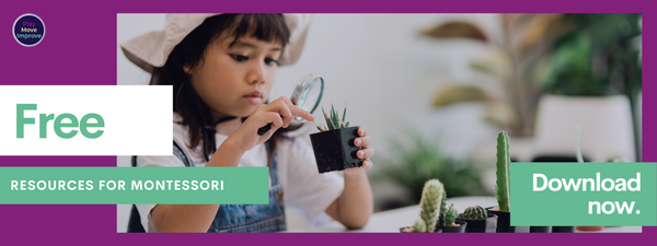 free Montessori child development resources
