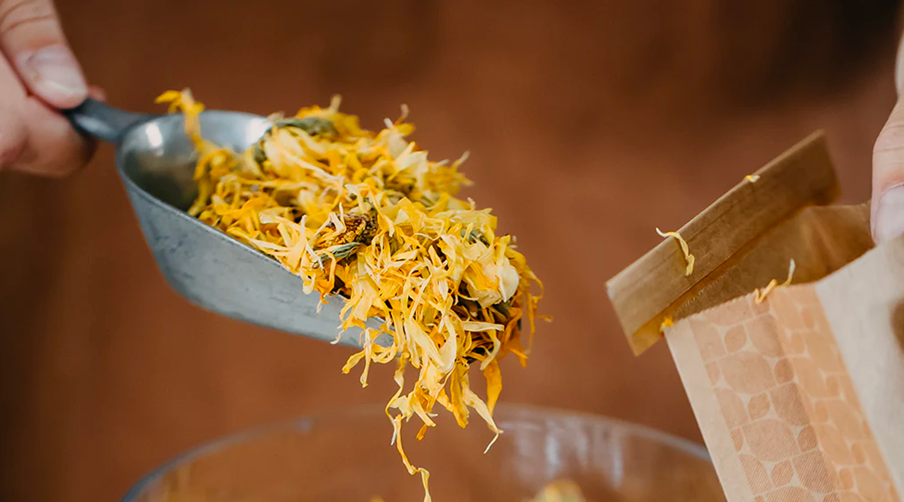 Photo of Down to Earth staff filling a paper bag with calendula petals.