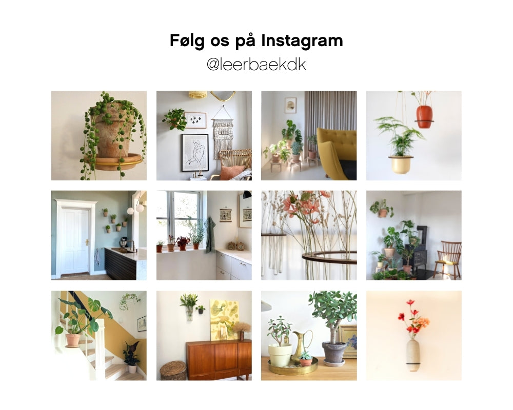 Følg os på instagram, plante instagram, planteinspiration, grønne planter, indretningsinspiration, indretning.