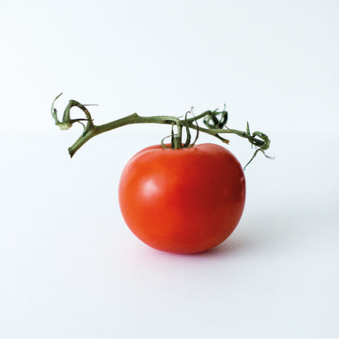 lav din egen tomatplante ud af kerner, tomatkerner, tomat, 