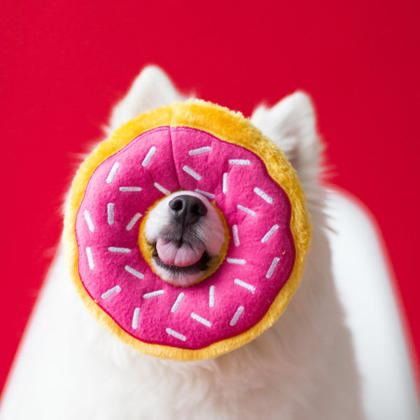 plush donut dog toy