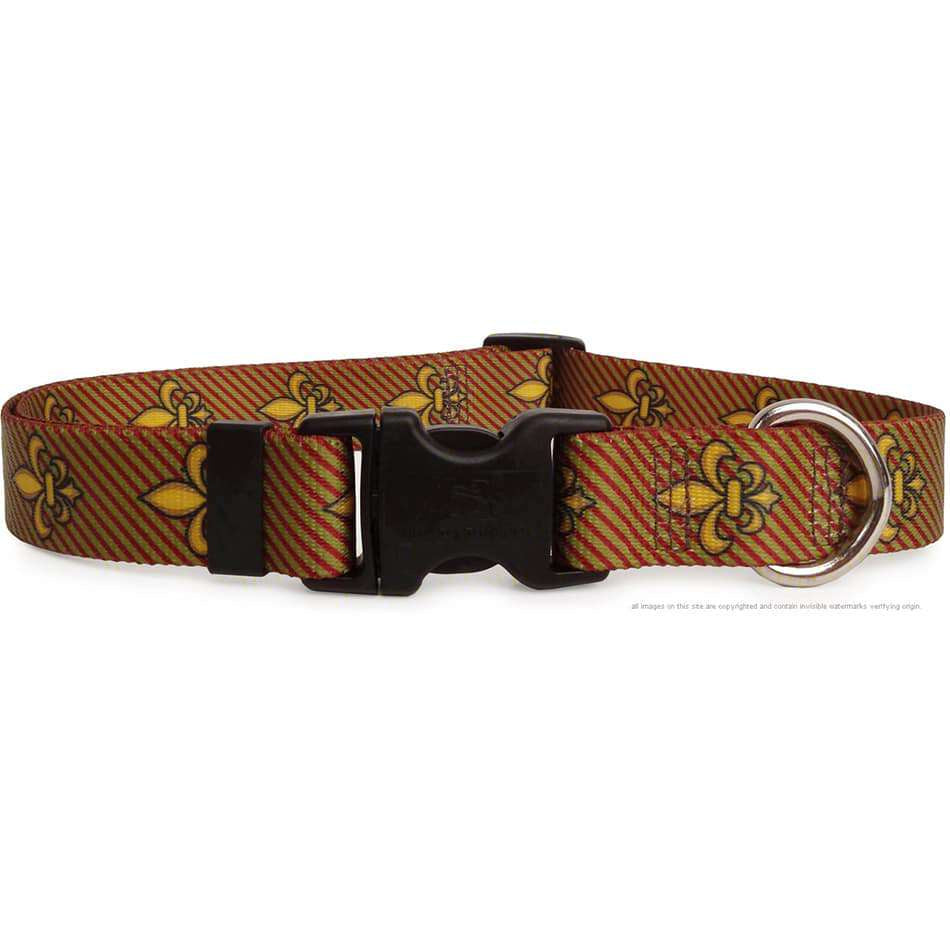 themed dog collars