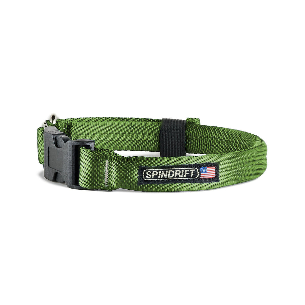 unique dog collars and leashes