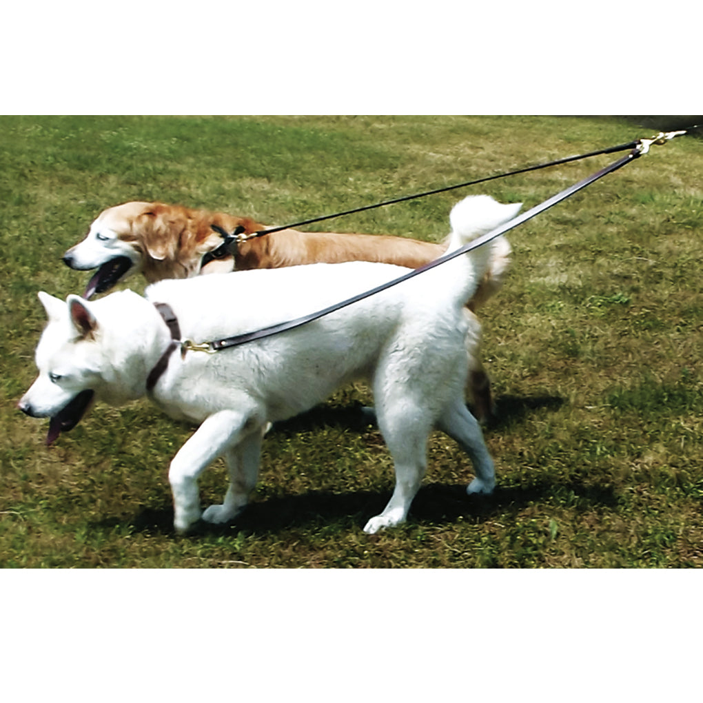 double dog leash no tangle