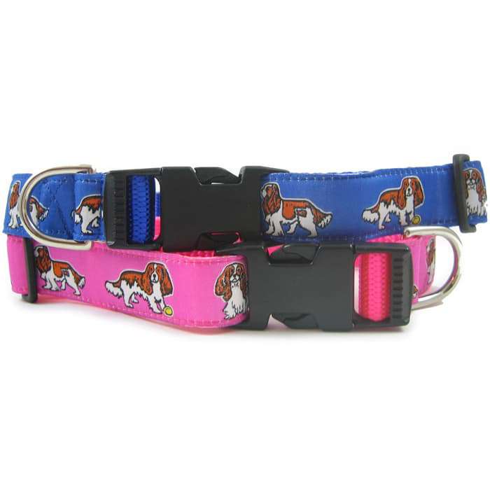 colorful dog collars and leashes