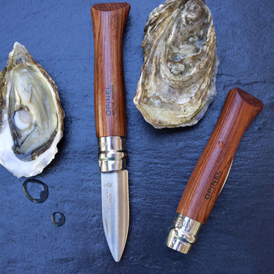 Folding Oyster Knife