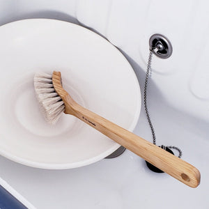 Dish Brush w/ Long Handle