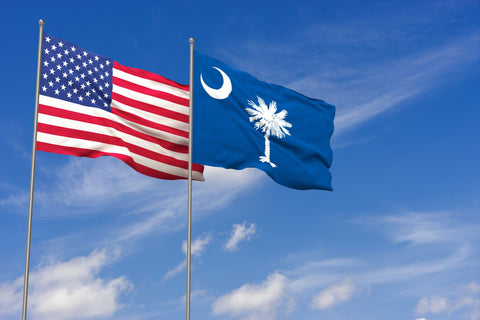 サウルカロライナ州の州旗に描かれている月とヤシの木のロゴ
