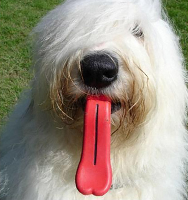 giant tongue dog chew toy