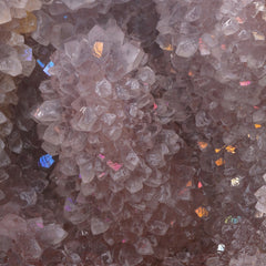 ic:Sidi Rahal, Morocco; Amir Akhavan photo; Spirifer Collection