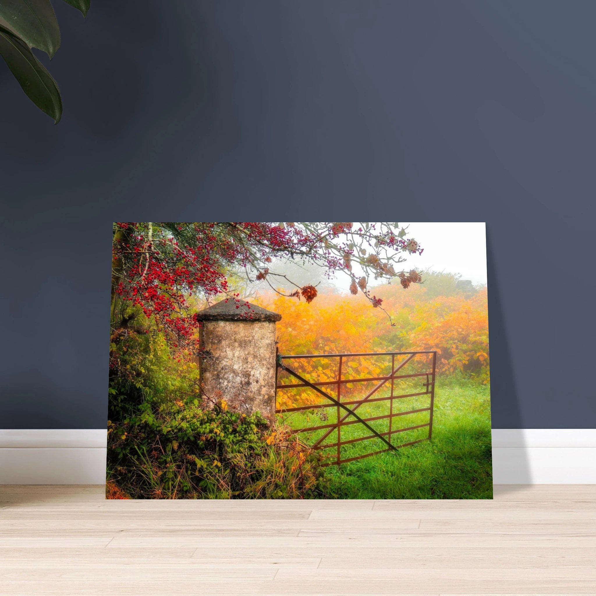 Gate to Misty Irish Autumn